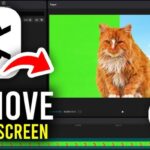 How To Remove Green Screen in CapCut (PC)